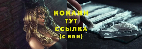 стаф Белокуриха