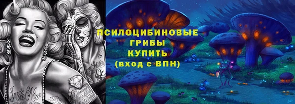 apvp Беломорск