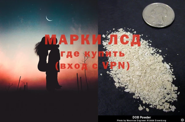 стаф Белокуриха