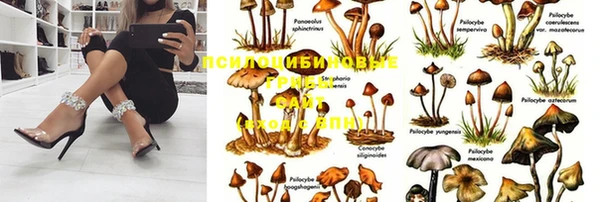 apvp Беломорск