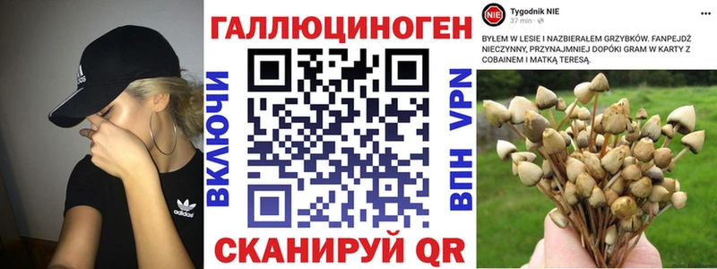MEGA маркетплейс  Горно-Алтайск  Галлюциногенные грибы GOLDEN TEACHER  купить  